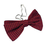 St Davids Day Welsh Bow Tie